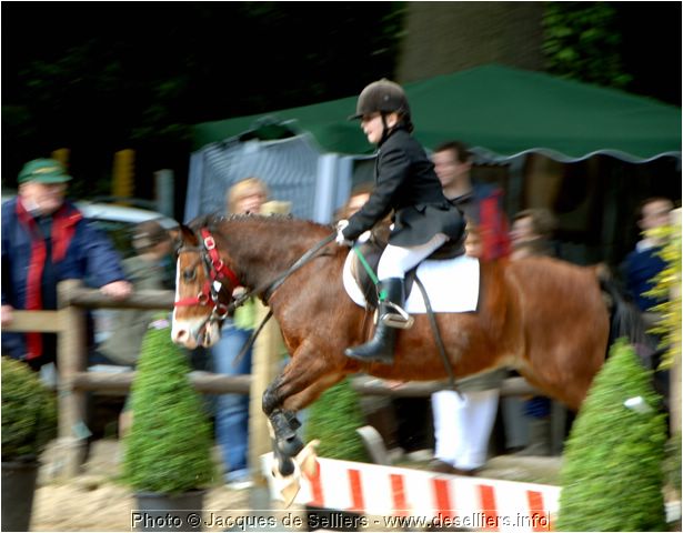 jumping-2007_0696-c1.jpg