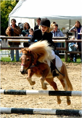jumping-2007_0705-c1.jpg