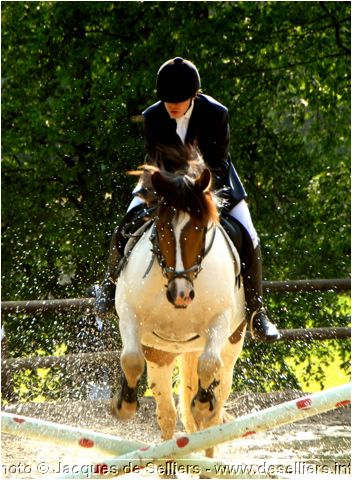 jumping-2007_0866.jpg