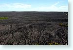 js1_5577-m1-kangaroo-island.jpg