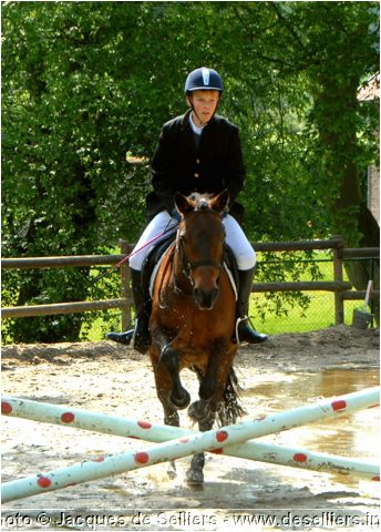 jumping-2007_0635-c1.jpg