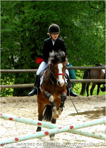 jumping-2007_0698-c1.jpg