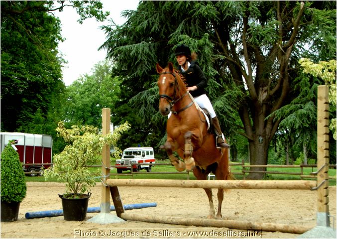 jumping-2007_0775.jpg